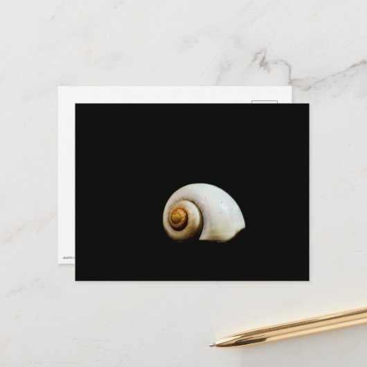 Moon Shell Briefkaart (Voorkant / Achterkant in situ)
