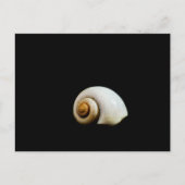 Moon Shell Briefkaart (Voorkant)