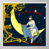 Moon Shuttle Poster (Voorkant)