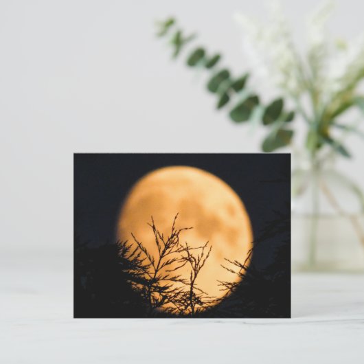 Moon Silhouette Briefkaart (Staand voorkant)