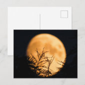 Moon Silhouette Briefkaart (Voorkant / Achterkant)