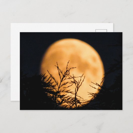 Moon Silhouette Briefkaart (Voorkant / Achterkant)