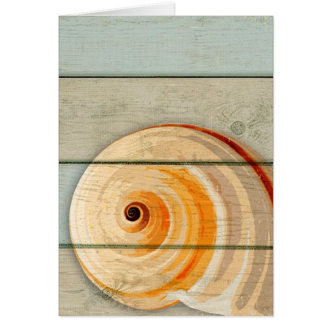 Moon Snail (Voorkant)