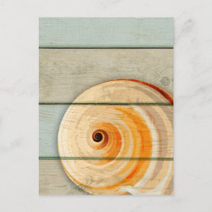 Moon Snail Briefkaart