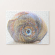 Moon Snail Shell Jigzaag Puzzle