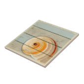 Moon Snail Tegeltje (Zijkant)