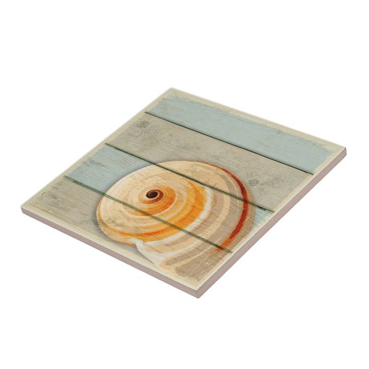 Moon Snail Tegeltje (Zijkant)