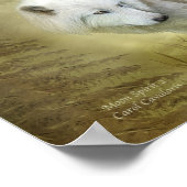 Moon Spirit 2 - White Wolf Fine Art Poster/Print Poster (Hoek)