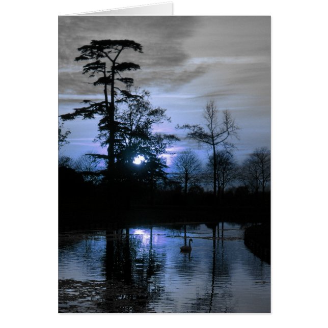 Moon Tree (Voorkant)