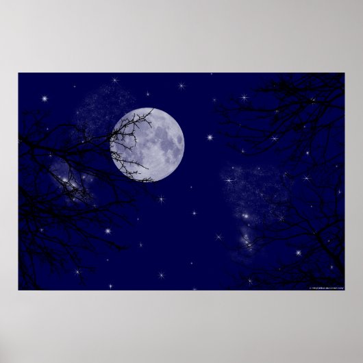 Moon Uitzicht Poster (Voorkant)