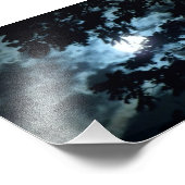 Moon verlicht de nacht achter boomtakken foto afdruk (Hoek)