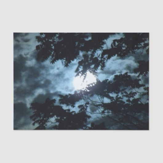 Moon verlicht de nacht achter boomtakken tissuepapier (Voorkant)