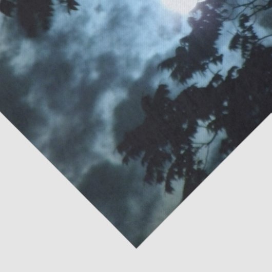 Moon verlicht de nacht achter boomtakken tissuepapier (Detail)