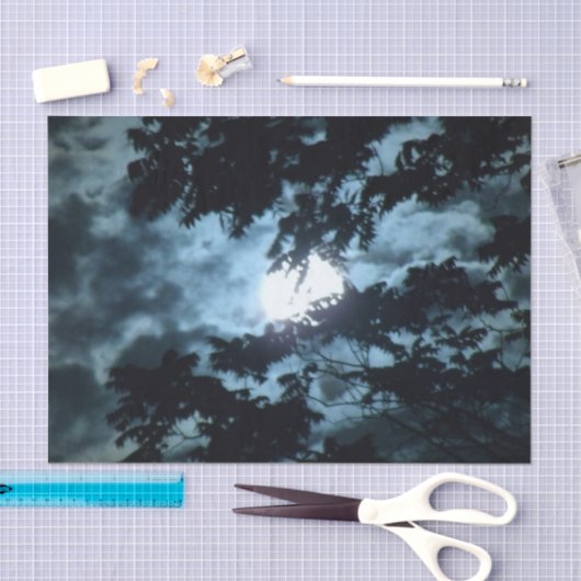 Moon verlicht de nacht achter boomtakken tissuepapier (Craft)