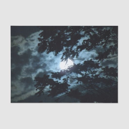 Moon verlicht de nacht achter boomtakken tissuepapier (Voorkant)