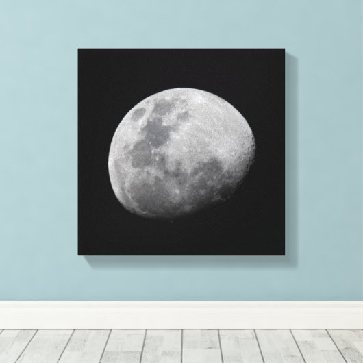 Moon with Black Sky | Zambia, South Luangwa Canvas Afdruk (Insitu (Houten vloer))