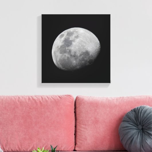 Moon with Black Sky | Zambia, South Luangwa Canvas Afdruk (Insitu (Woonkamer))