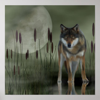 Moon Wolf - Wolf, Dieren Poster
