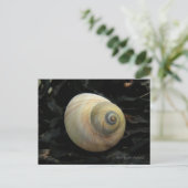 Moon Zee Snail-slak, Unalaska Island Briefkaart (Staand voorkant)