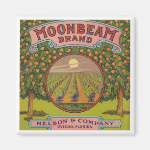 Moonbeam Brand    citrusetiket Magneet
