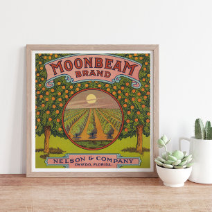 Moonbeam Brand    citrusetiket Poster