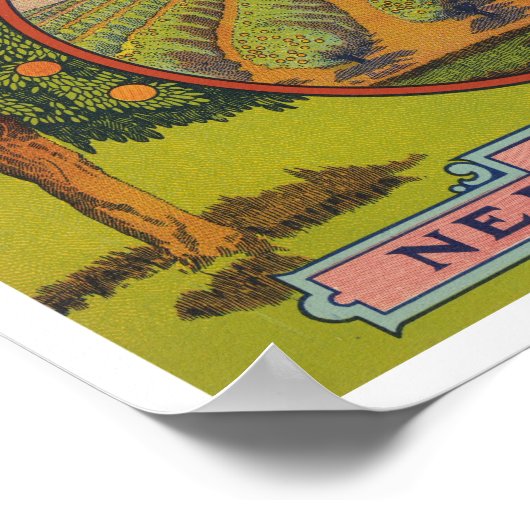 Moonbeam Brand | citrusetiket Poster (Hoek)