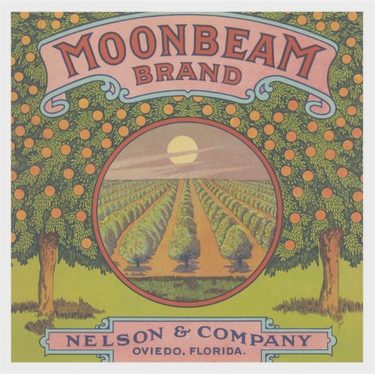Moonbeam Brand | citrusetiket Sticker (Voorkant)