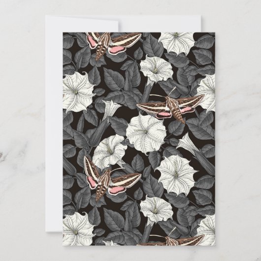 Moonbloemen en spinxmoden 2 (Voorkant)