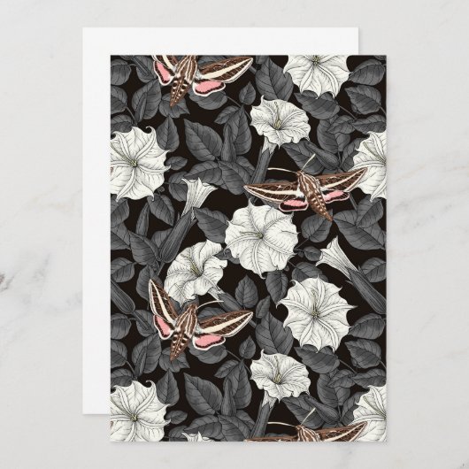 Moonbloemen en spinxmoden 2 (Voorkant / Achterkant)