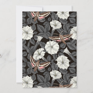 Moonbloemen en spinxmoden 2