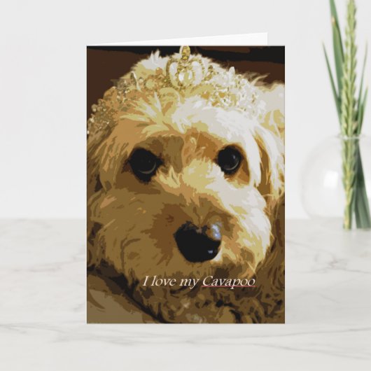 Mooncards, Cavapoo, Prinses, het Wenskaart van het Kaart (Voorkant)