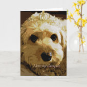 Mooncards, Cavapoo, Prinses, het Wenskaart van het Kaart (Gele Bloem)