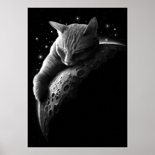 mooncat poster (Voorkant)