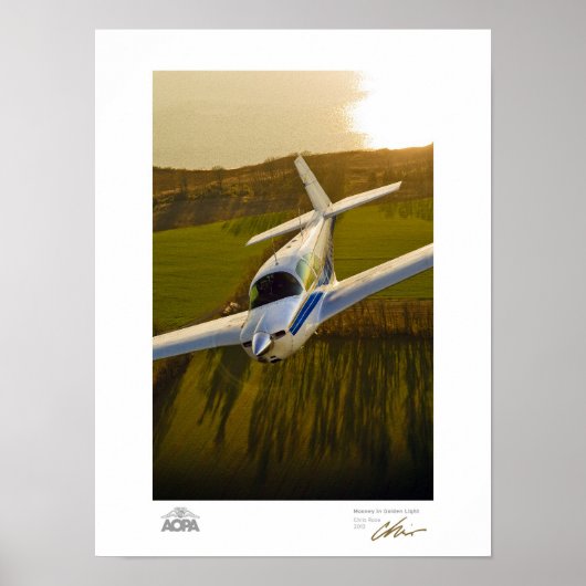 Mooney in Golden Light Gallery 2 Poster (Voorkant)