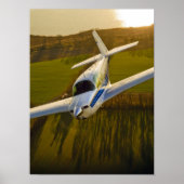 Mooney in Golden Light Poster (Voorkant)