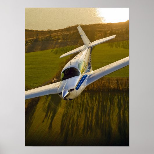 Mooney in Golden Light Poster (Voorkant)