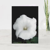 MoonFlower Kaart (Voorkant)