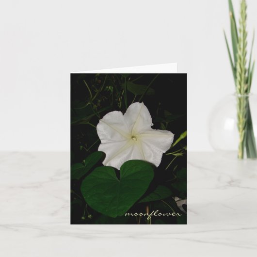 moonflower notecard kaart (Voorkant)