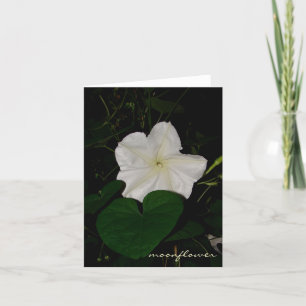moonflower notecard kaart