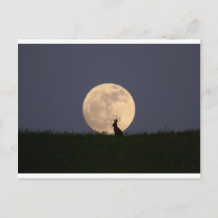 Moongazer Briefkaart