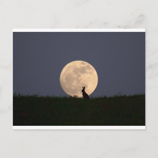 Moongazer Briefkaart (Voorkant)