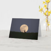 Moongazer.JPG Kaart (Gele Bloem)