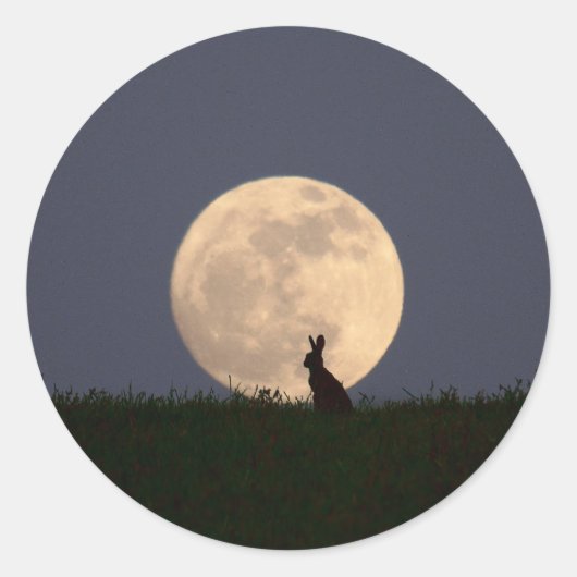 Moongazer.JPG Ronde Sticker (Voorkant)