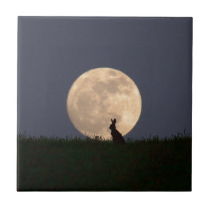Moongazer.JPG Tegeltje
