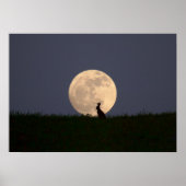 Moongazer Poster (Voorkant)