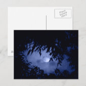 Moonglow Briefkaart (Voorkant / Achterkant)