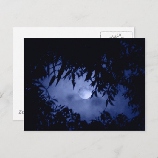 Moonglow Briefkaart (Voorkant / Achterkant)