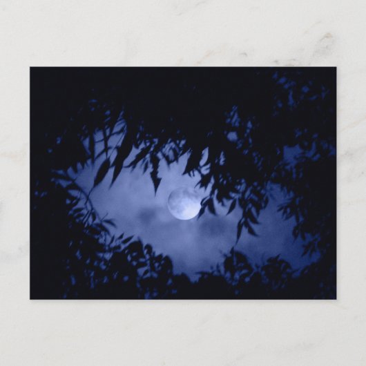 Moonglow Briefkaart (Voorkant)