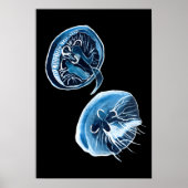 MoonJellyfish waterverf art Poster (Voorkant)