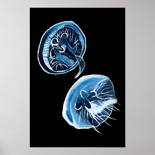 MoonJellyfish waterverf art Poster (Voorkant)